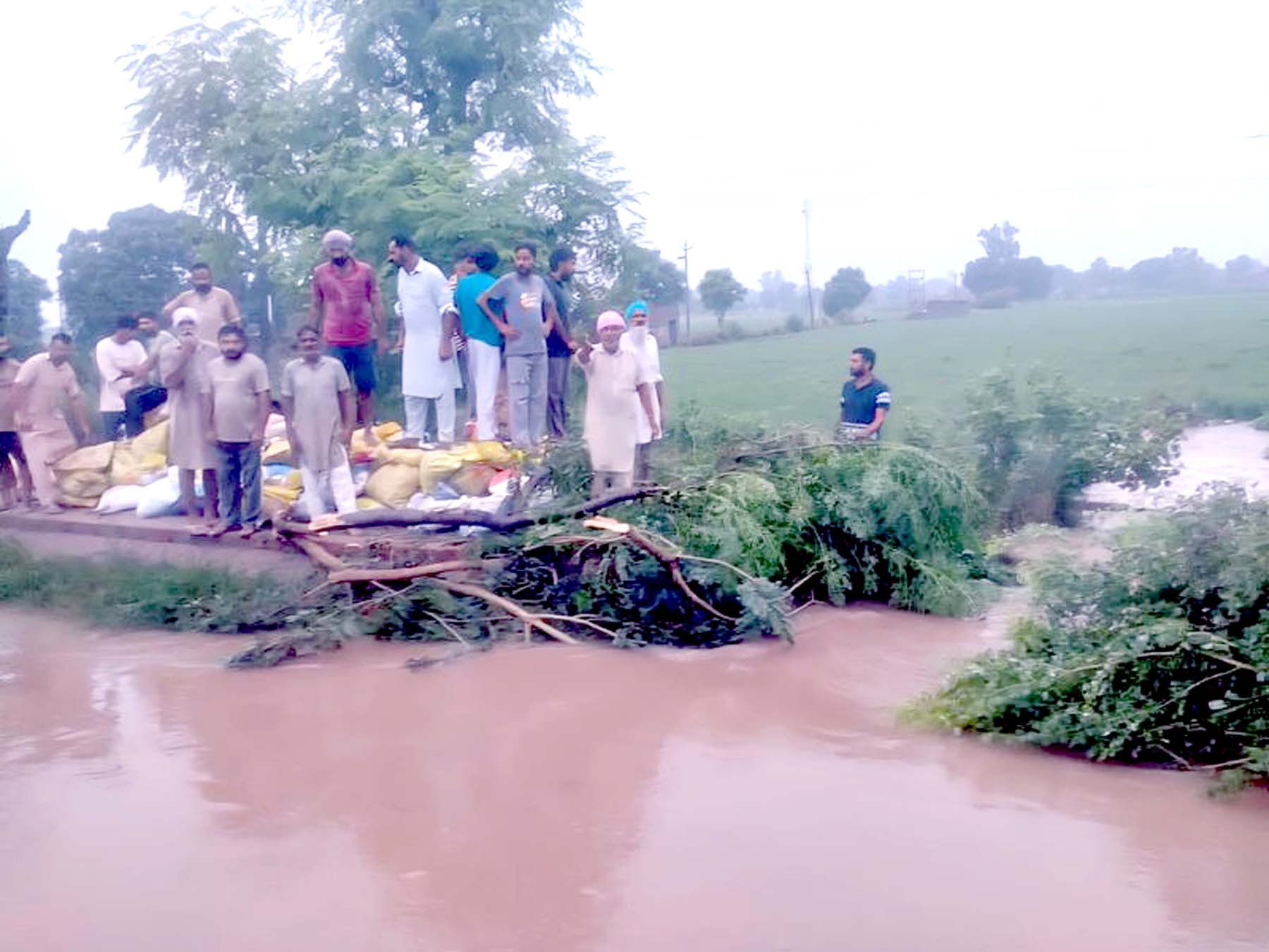 Gap in Mithri Minor; Canal Department missing, farmers themselves carried out relief work.